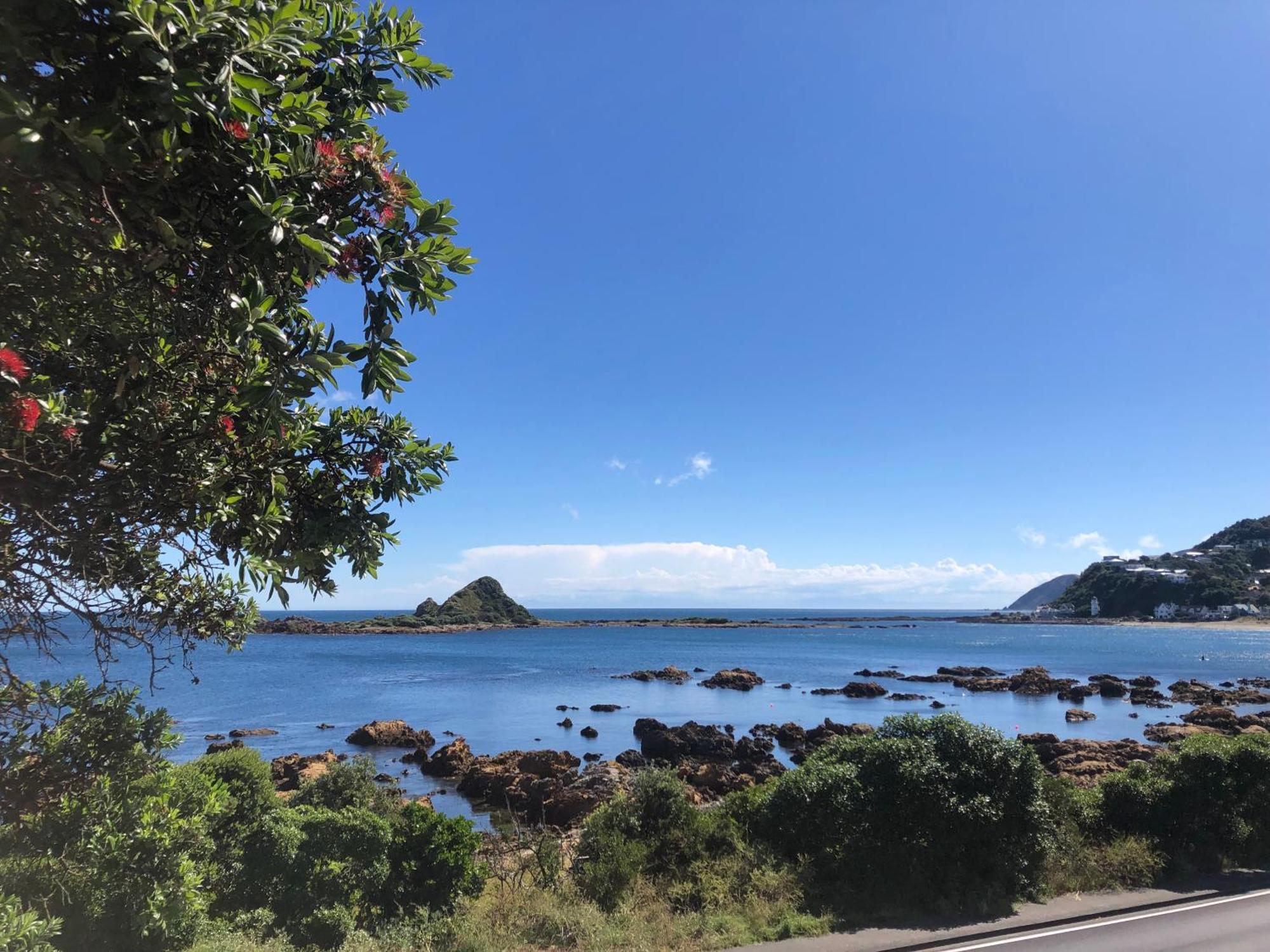 Seafront Haven In Island Bay With Deck, Outdoor Bath, And Parking Leilighet Wellington Eksteriør bilde